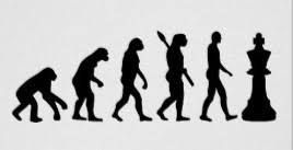 evolutie.jpg